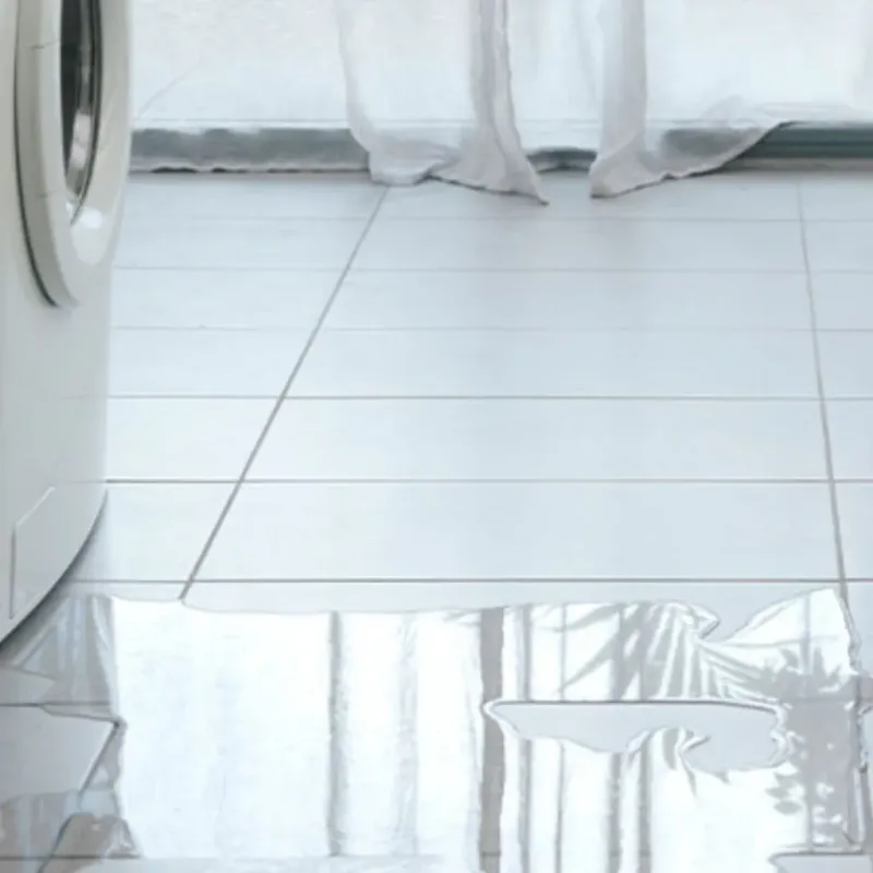 Appliance Leak Cleanup in Coral Gables, FL